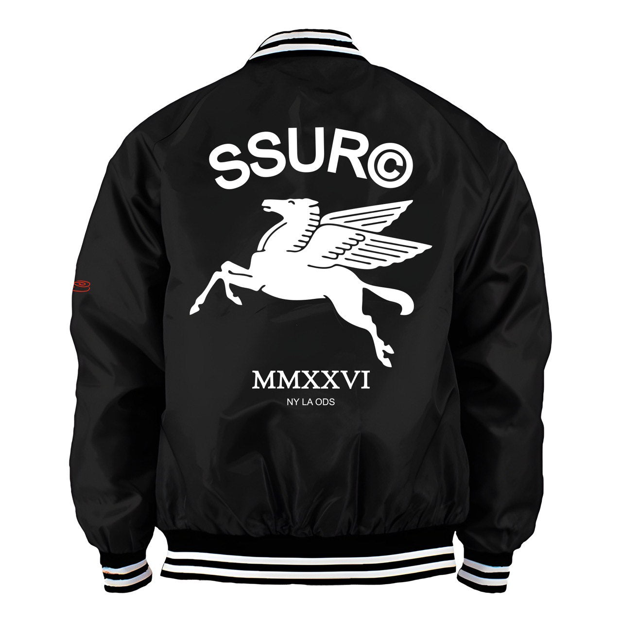 SSUR©️PEGASUS satin team jacket