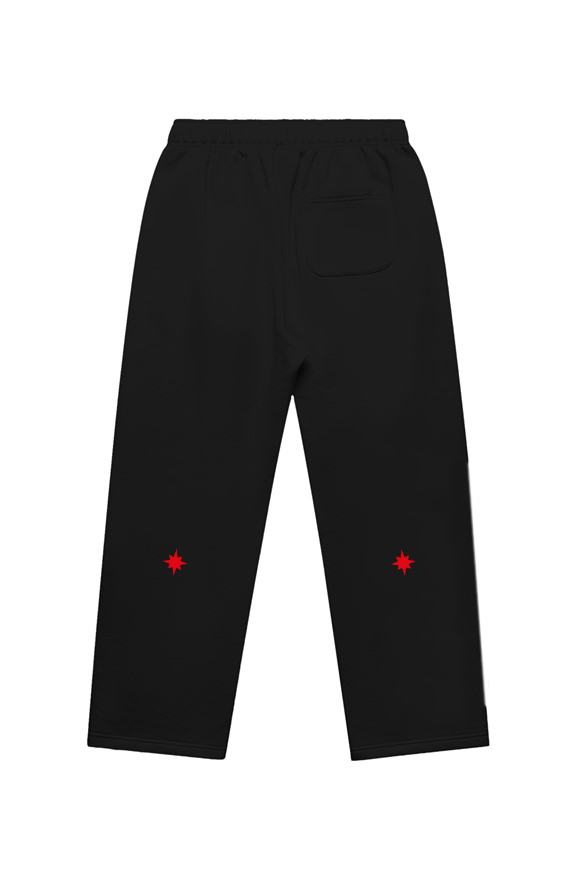 SSUR©️ Brooklyn Zoo Cuffless Trackpants