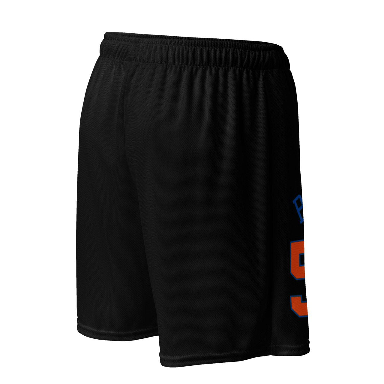 SSUR©️ NEW YORK BUCK 50 Mesh Shorts
