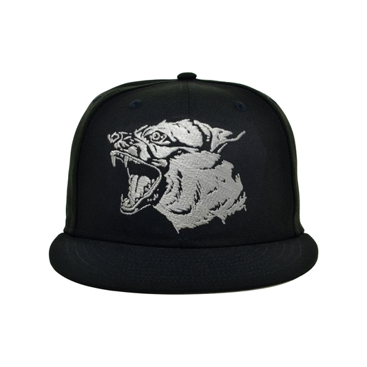 SSUR©️ Fury Snapback Cap