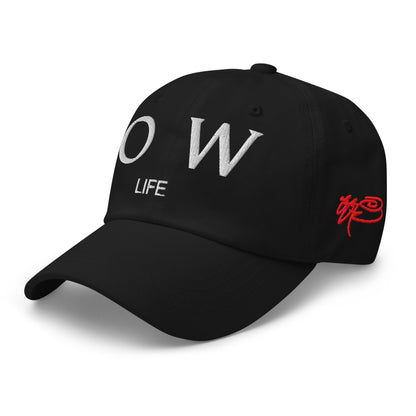 SSUR©️ Low Life Dad hat