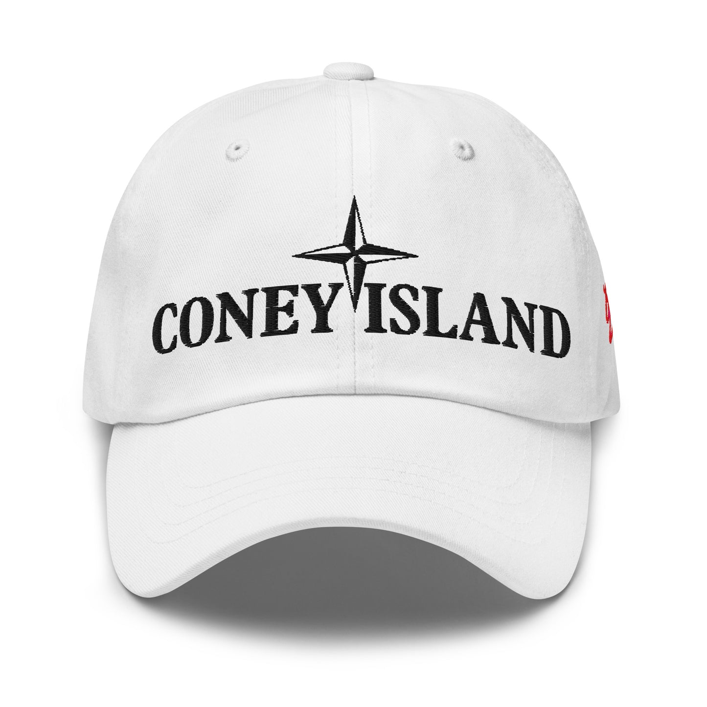 SSUR©️ Coney Island Dad hat