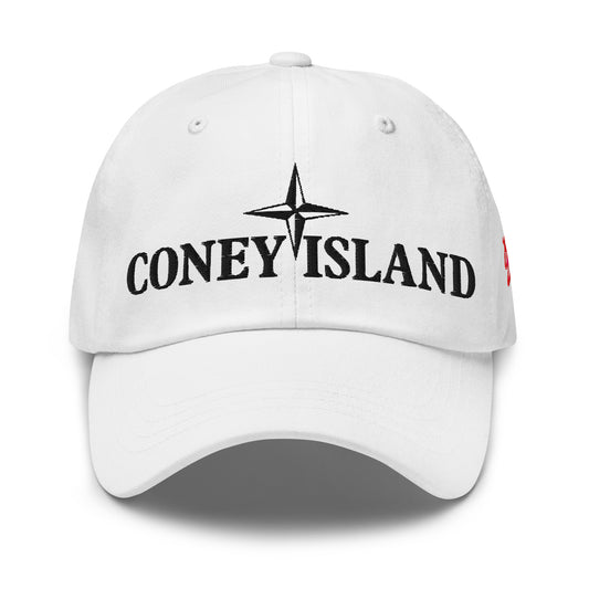 SSUR©️ Coney Island Dad hat