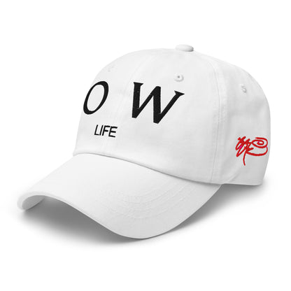 SSUR©️ Low Life Dad hat
