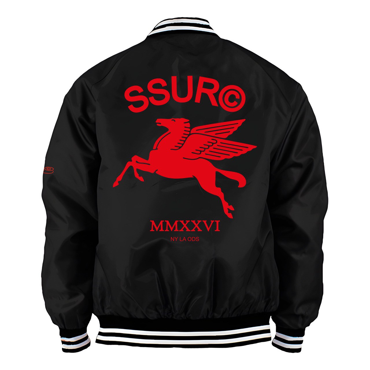 SSUR©️PEGASUS satin team jacket